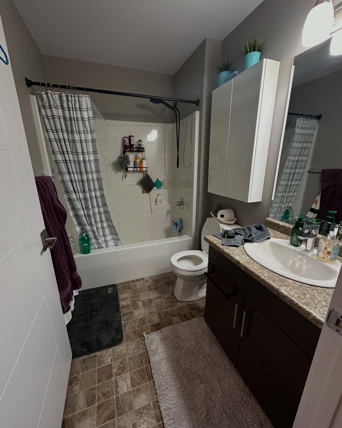 Project Lotus bathroom before the renovation, with taupe walls and a brown vanity