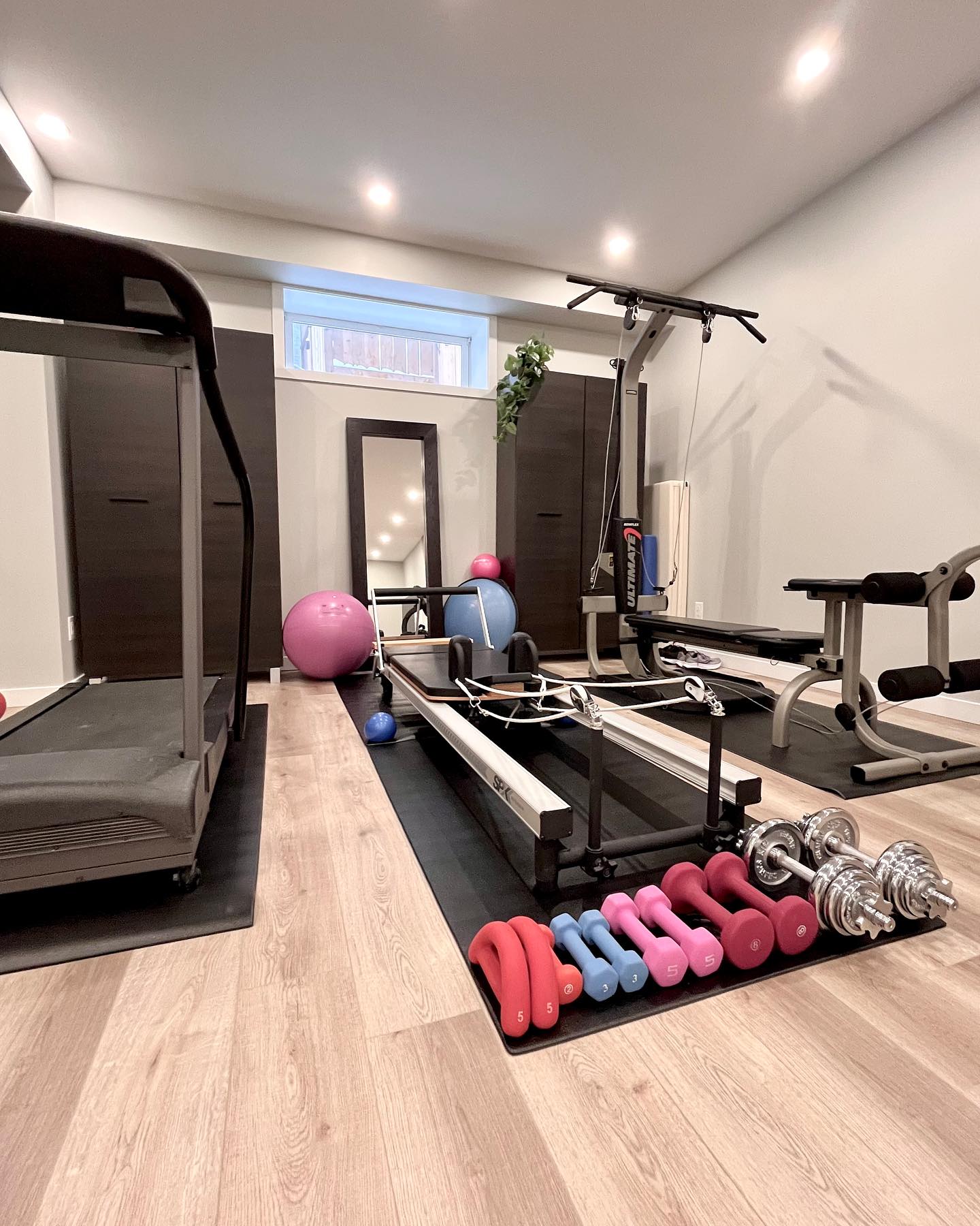 Finished basement gym with a reformer, cable machine, and light wood-look flooring
