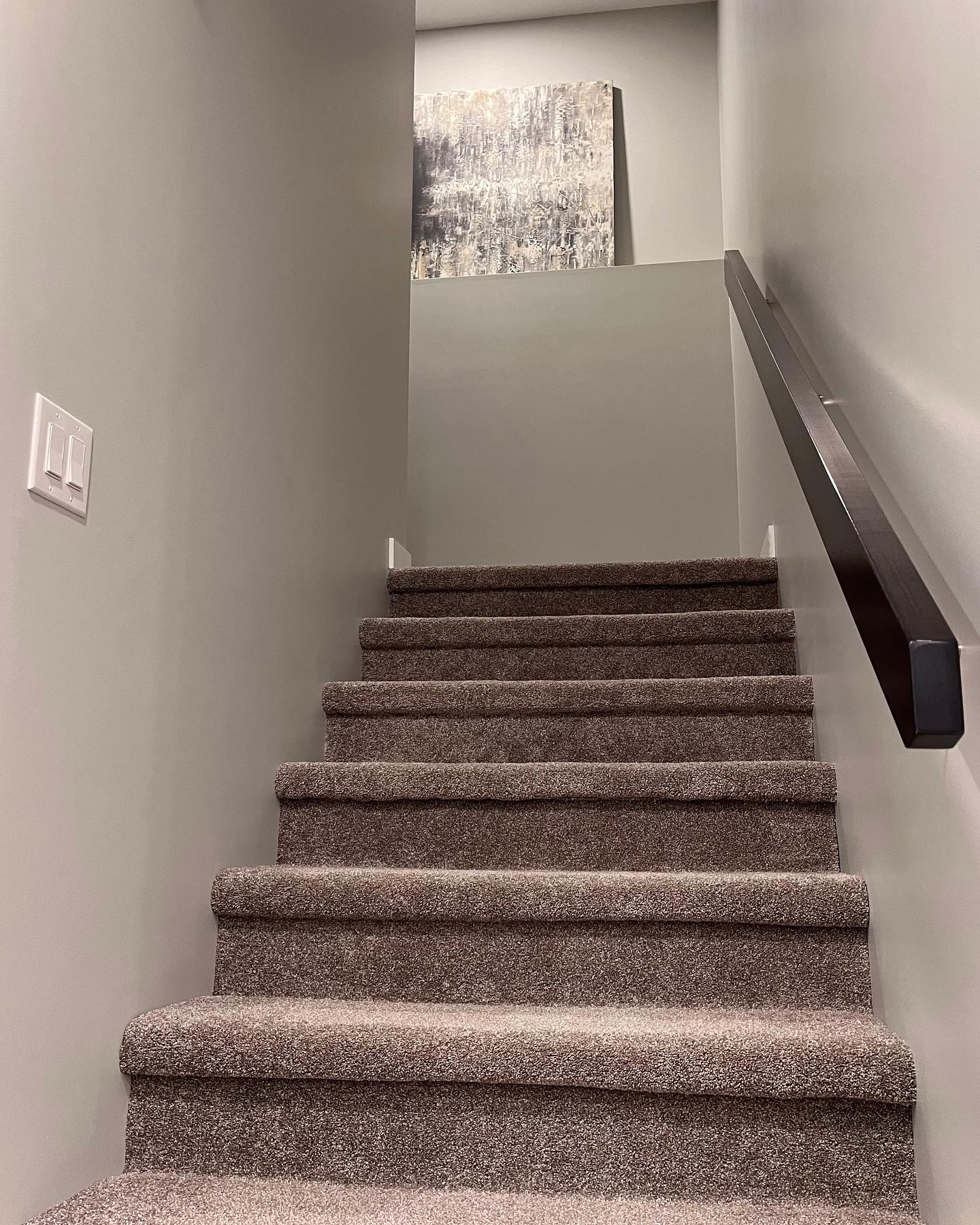 Carpeted stair run with a dark handrail and artwork on the landing