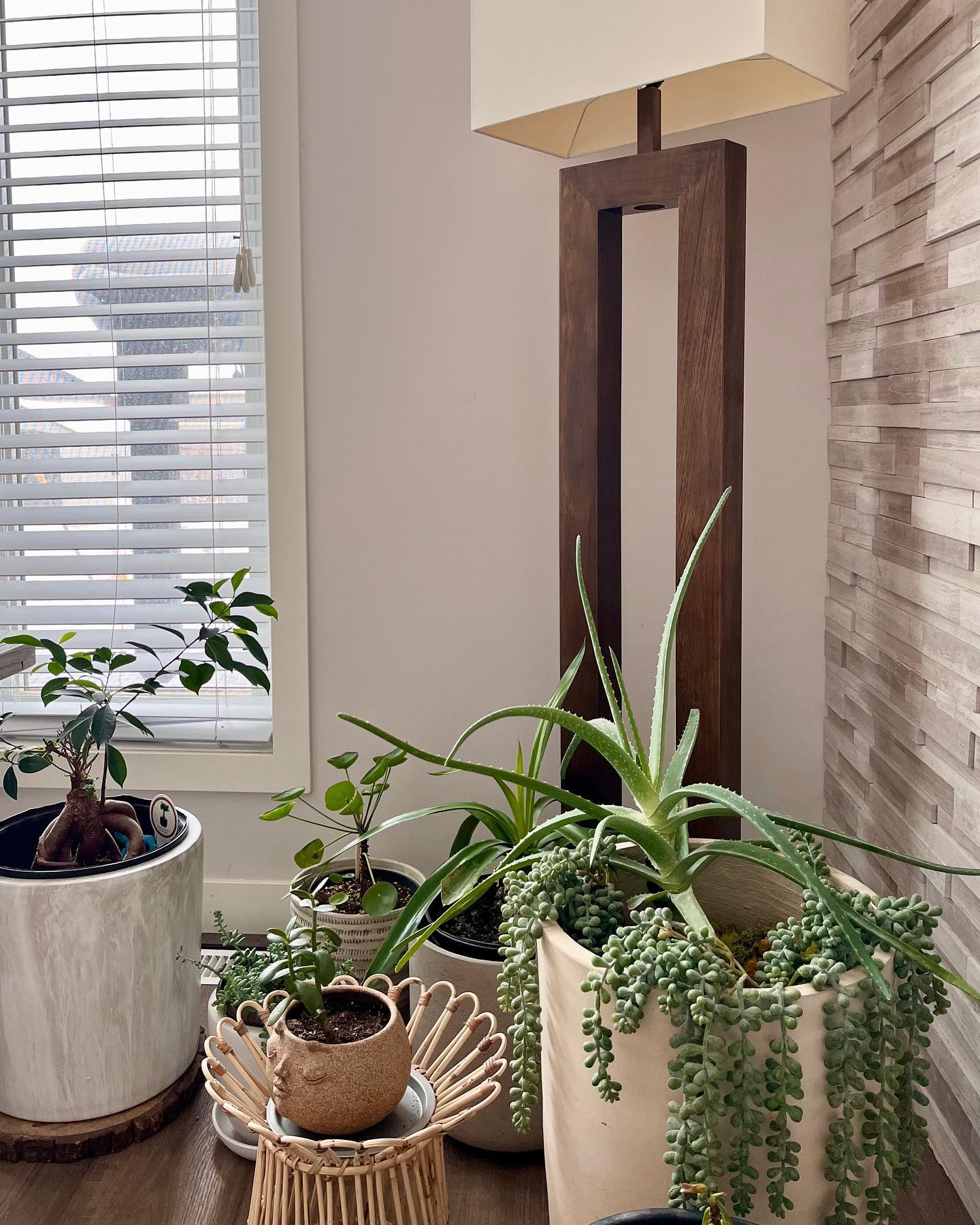 Biophilic Design for Cold Climate Homes, Bringing Nature Inside When Winter Won't End